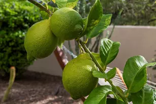 7969 E Baker Dr, Scottsdale, AZ 85266 - Photo 73