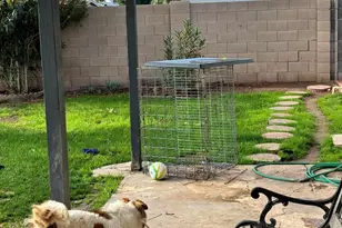 8151 W Clarendon Ave, Phoenix, AZ 85033 - Photo 23