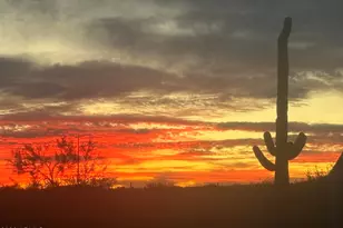 42419 N Central Ave, Desert Hills, AZ 85086 - Photo 83