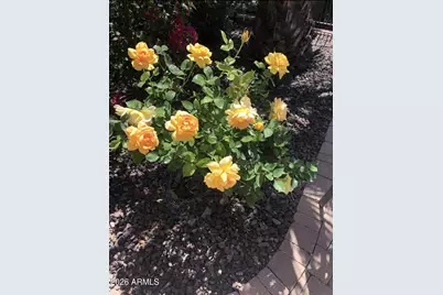 13055 W Cliffrose Road, Peoria, AZ 85383 - Photo 27