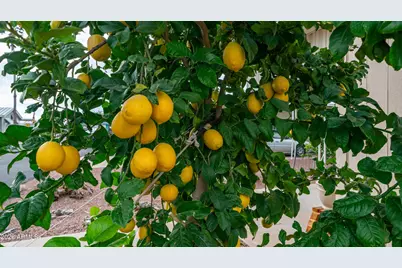 747 E Germann Road #92, San Tan Valley, AZ 85140 - Photo 27