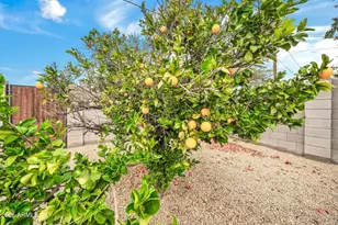 2208 E Sylvia St, Phoenix, AZ 85022 - Photo 23