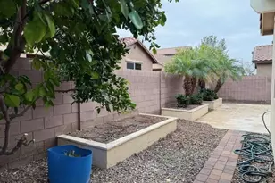 257 E Kaibab Dr Dr, Chandler, AZ 85249 - Photo 45