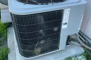 10947 N Hualapai Dr, Casa Grande, AZ 85122 - Photo 29