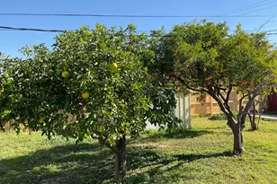 247 E 7th Dr, Mesa, AZ 85210 - Photo 23