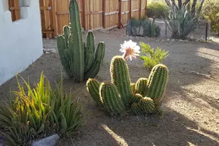 2860 N Elliott Rd, Ajo, AZ 85321 - Photo 31