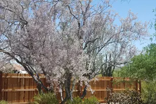 2860 N Elliott Rd, Ajo, AZ 85321 - Photo 29