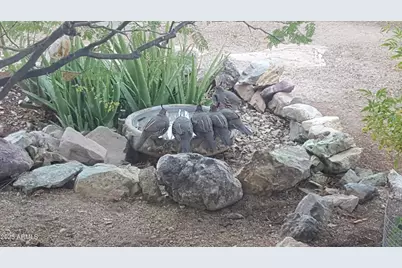 2860 N Elliott Road, Ajo, AZ 85321 - Photo 33