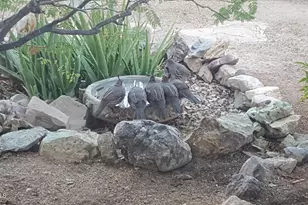 2860 N Elliott Rd, Ajo, AZ 85321 - Photo 33