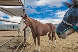 23411 W Barwick Dr, Wittmann, AZ 85361 - Photo 39