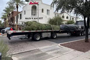 3467 N Hooper St, Buckeye, AZ 85396 - Photo 83