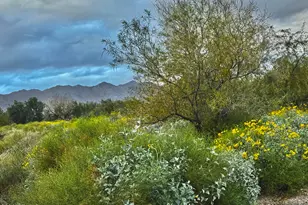 3467 N Hooper St, Buckeye, AZ 85396 - Photo 69