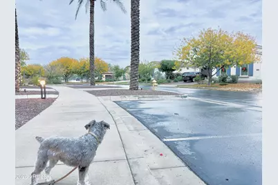 3467 N Hooper Street, Buckeye, AZ 85396 - Photo 57