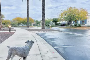 3467 N Hooper St, Buckeye, AZ 85396 - Photo 61