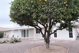 9921 W Oak Ridge Dr, Sun City, AZ 85351 - Photo 23