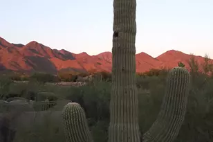 10689 E Le Marche Dr, Scottsdale, AZ 85255 - Photo 49