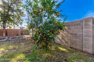 2945 E Mulberry Dr, Phoenix, AZ 85016 - Photo 19