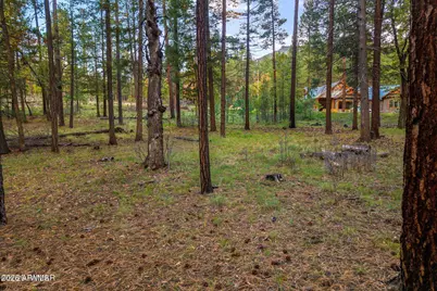 000 County Road 2196 -- #74A, Alpine, AZ 85920 - Photo 13