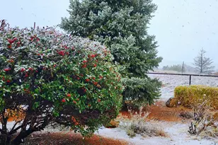 1125 N Wagon Wheel Pl, Chino Valley, AZ 86323 - Photo 47