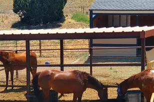 1125 N Wagon Wheel Pl, Chino Valley, AZ 86323 - Photo 37