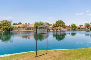 1362 S Cholla Pl, Chandler, AZ 85286 - Photo 41