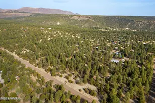 15 Co Rd 2019, Nutrioso, AZ 85932 - Photo 41