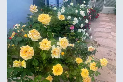 8437 E Sulky Circle, Scottsdale, AZ 85255 - Photo 49