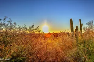 8437 E Sulky Cir, Scottsdale, AZ 85255 - Photo 63