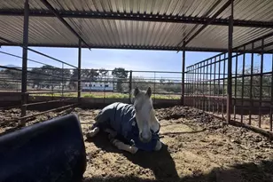 11810 S 43rd Ave, Laveen, AZ 85339 - Photo 25