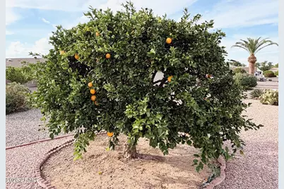 922 S 79th Way, Mesa, AZ 85208 - Photo 17