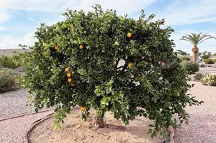 922 S 79th Way, Mesa, AZ 85208 - Photo 17