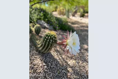 9796 E Gamble Lane, Scottsdale, AZ 85262 - Photo 33