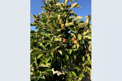 14764 S Amado Boulevard, Arizona City, AZ 85123 - Photo 57