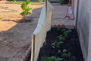 14764 S Amado Blvd, Arizona City, AZ 85123 - Photo 55