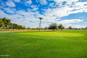 18435 N 101st Dr, Sun City, AZ 85373 - Photo 43