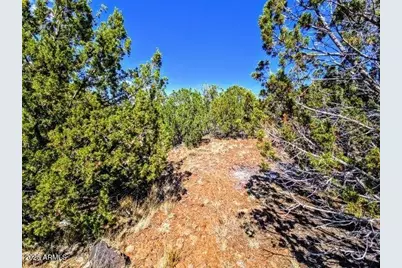 8546 Silver Creek Drive #44, Show Low, AZ 85901 - Photo 5