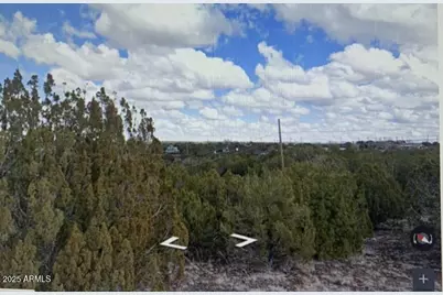 8546 Silver Creek Drive #44, Show Low, AZ 85901 - Photo 1