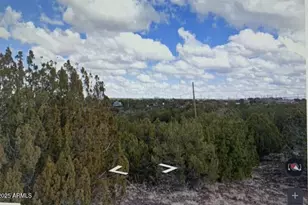 8546 Silver Creek Dr, Show Low, AZ 85901 - Photo 1