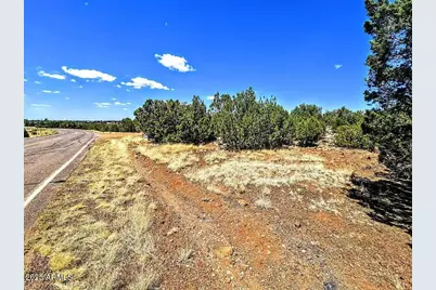 8426 Silver Creek Drive #1, Show Low, AZ 85901 - Photo 3