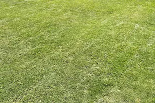 1037 W 10th St, Mesa, AZ 85201 - Photo 19