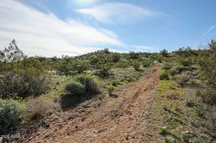 1623 E Runion Dr, Phoenix, AZ 85024 - Photo 49