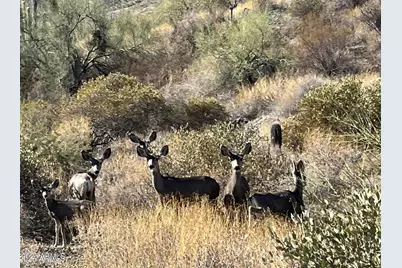 15529 N Javelina Trail #216, Fountain Hills, AZ 85268 - Photo 15