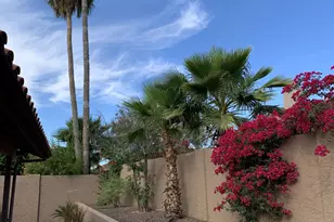 4302 E Bannock St, Phoenix, AZ 85044 - Photo 57