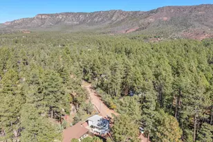 3690 N Cemetery Rd, Pine, AZ 85544 - Photo 35