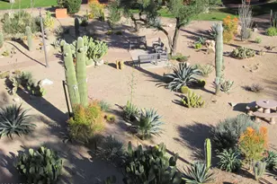 4303 E Cactus Rd, Phoenix, AZ 85032 - Photo 19