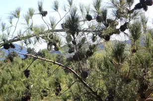 4303 E Cactus Rd, Phoenix, AZ 85032 - Photo 23