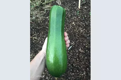 2690 W Jaclyn Drive, Flagstaff, AZ 86001 - Photo 17