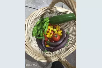 2690 W Jaclyn Drive, Flagstaff, AZ 86001 - Photo 21