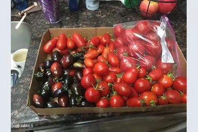 2690 W Jaclyn Drive, Flagstaff, AZ 86001 - Photo 27