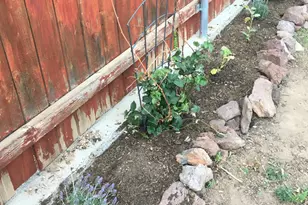 2690 W Jaclyn Dr, Flagstaff, AZ 86001 - Photo 25